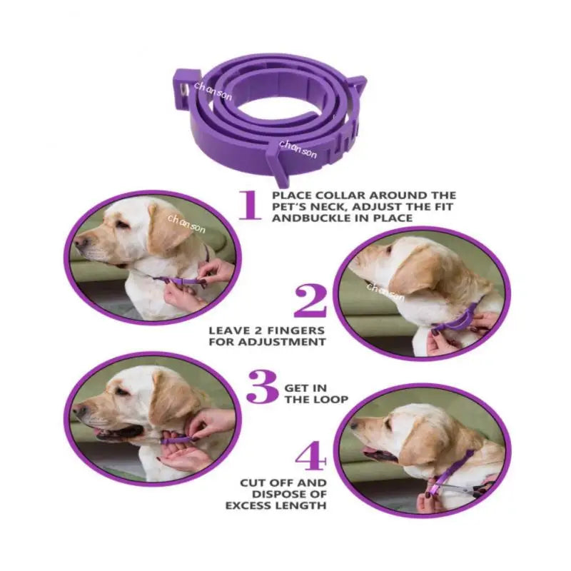 💤 Pet Calming Collar™